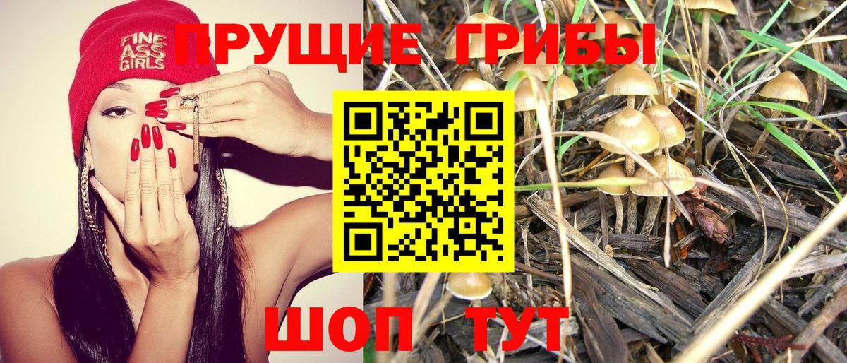 Новочеркасск  Псилоцибиновые грибы ЛСД  Вход с VPN 