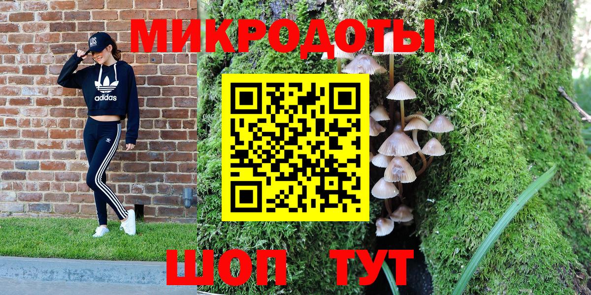 Галлюциногенные грибы Psilocybine cubensis Новочеркасск